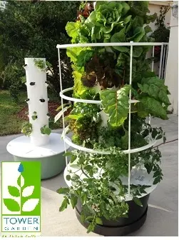 Juice Plus Tower Garden graphic with logo